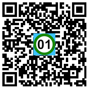 Scan de code