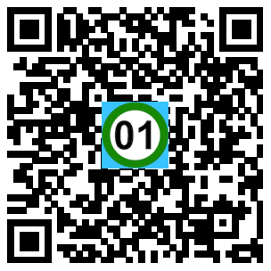 Scan de code