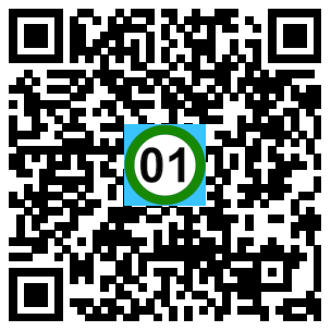 Scan de code
