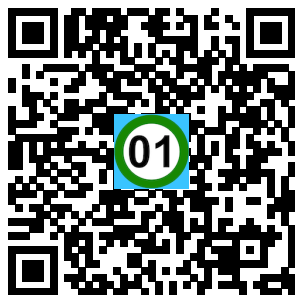 Scan de code