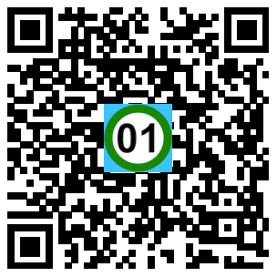 Scan de code