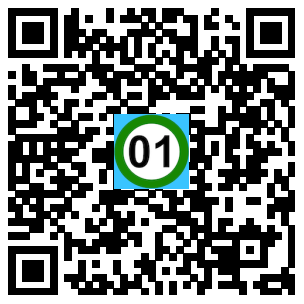 Scan de code