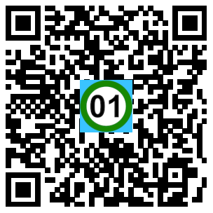 Scan de code