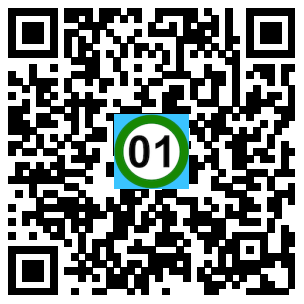 Scan de code