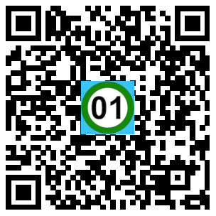 Scan de code