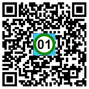 Scan de code