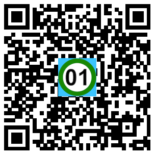 Scan de code