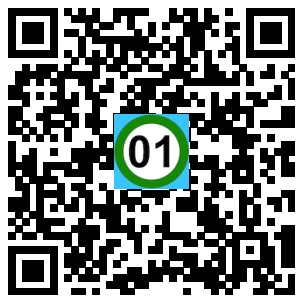 Scan de code