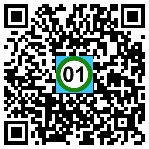 Scan de code