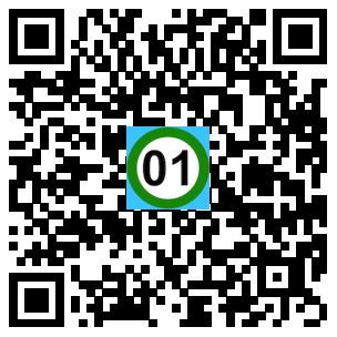 Scan de code