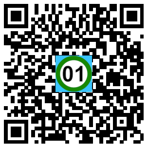 Scan de code