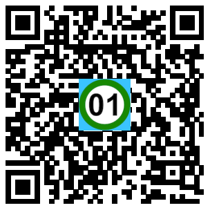 Scan de code