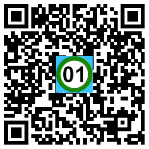 Scan de code