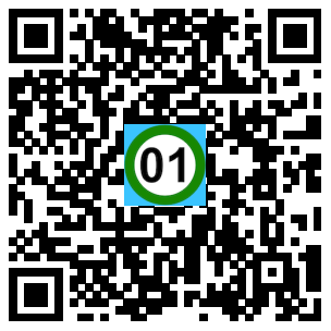Scan de code