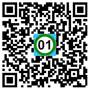 Scan de code