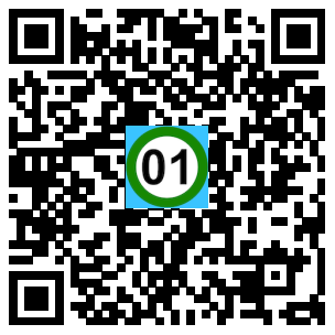 Scan de code