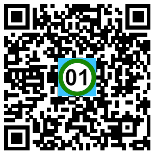 Scan de code