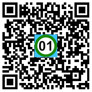 Scan de code