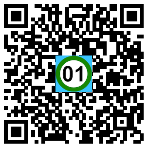 Scan de code