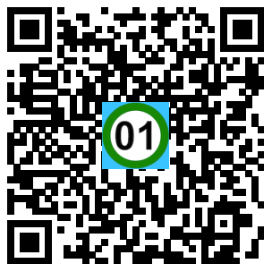 Scan de code