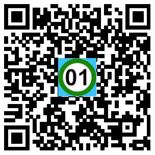 Scan de code