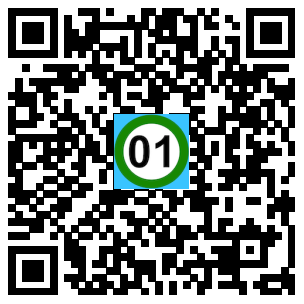 Scan de code