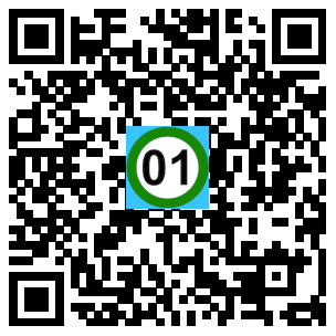 Scan de code