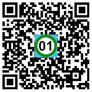 Scan de code