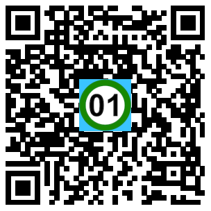 Scan de code