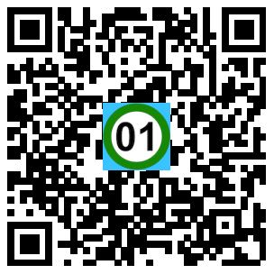 Scan de code