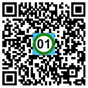 Scan de code