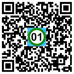 Scan de code