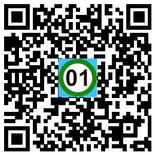 Scan de code