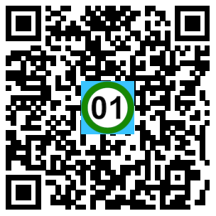 Scan de code
