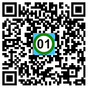 Scan de code
