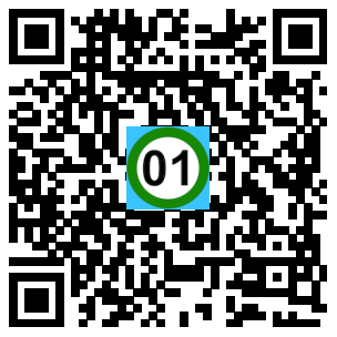 Scan de code