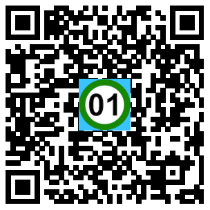 Scan de code