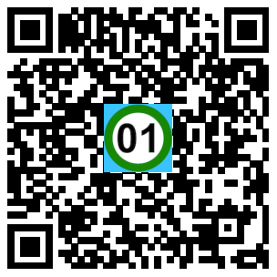Scan de code