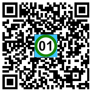 Scan de code