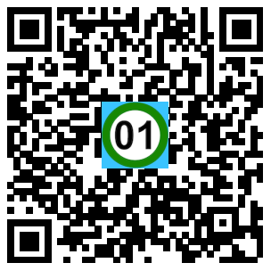 Scan de code