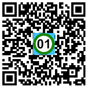Scan de code