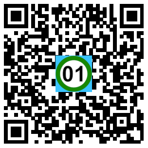 Scan de code