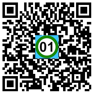Scan de code