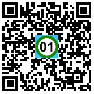 Scan de code