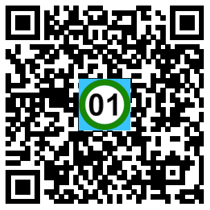 Scan de code