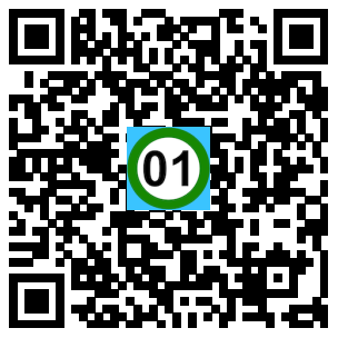 Scan de code