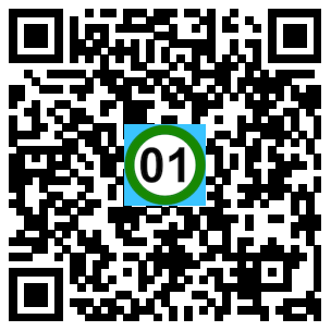 Scan de code