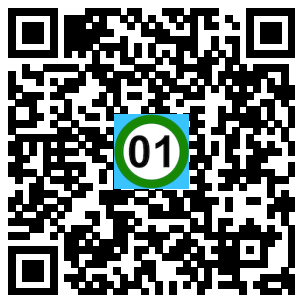 Scan de code