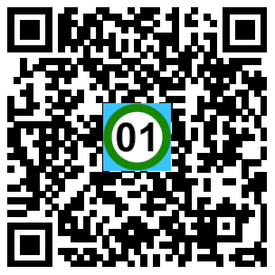 Scan de code