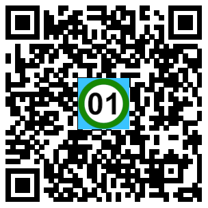 Scan de code